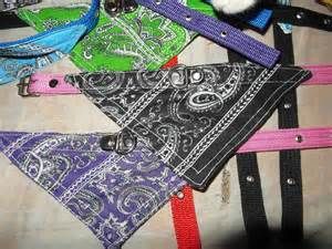 PALIACATES SUJETO A TELAS DISPONIBLES
CON COLLAR
CH $80 M $90 G $ 110 XG $ 130 XXG $ 160