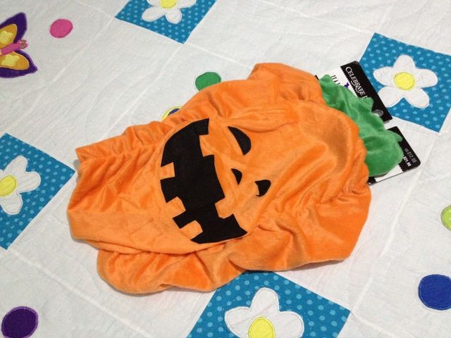 DIZFRAZ CALABAZA
TALLA CH $160,MED $180, G $200 EX $240