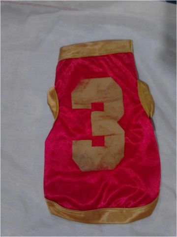 CAMISITA CON NUMERO,VARIOS COLORES
SOLO TALLAS CHICAS A MINIS $50.00 A G O T A D O